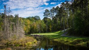 Grand View Lodge, The Pines Course, Minnesota